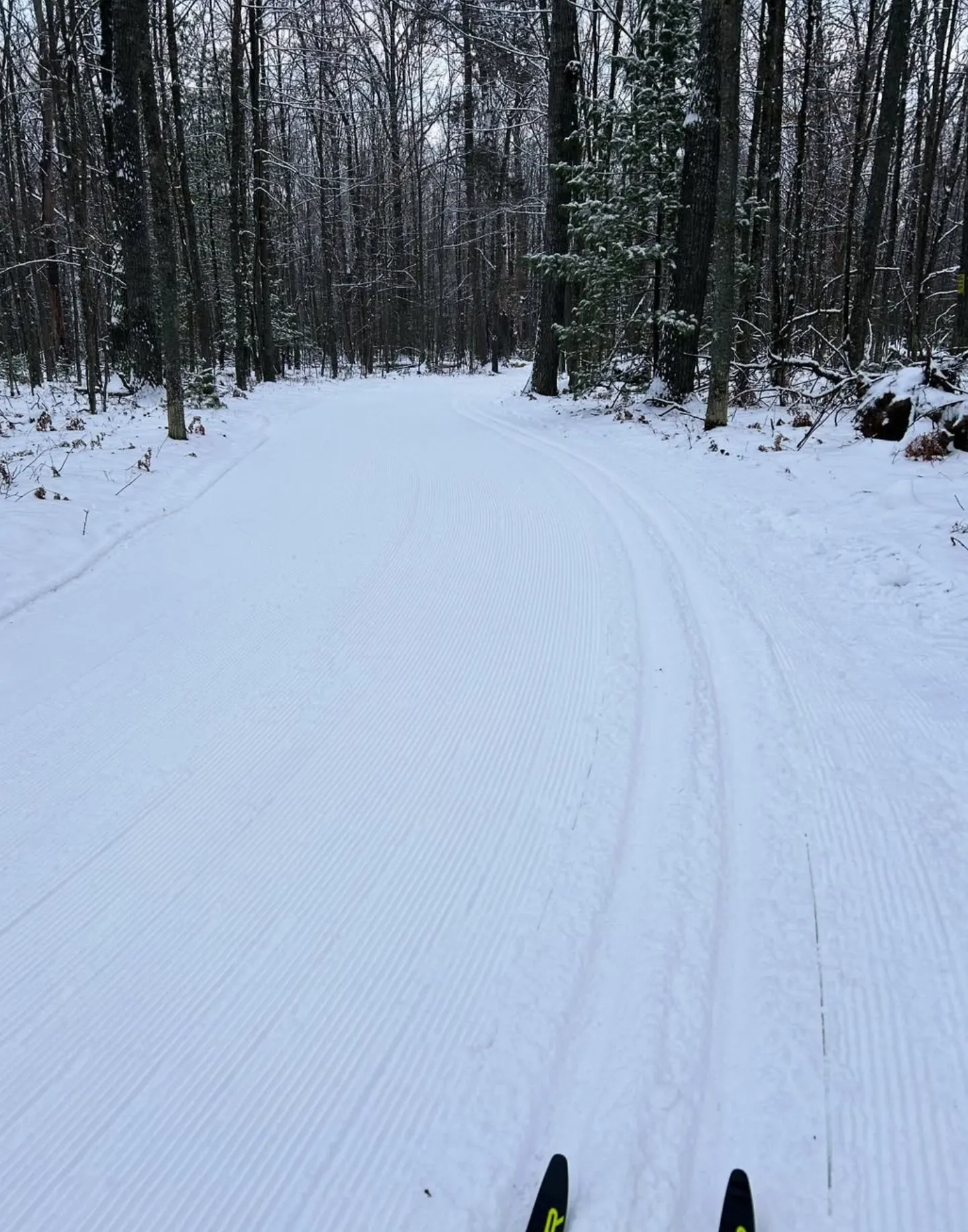 Cross-country skiing