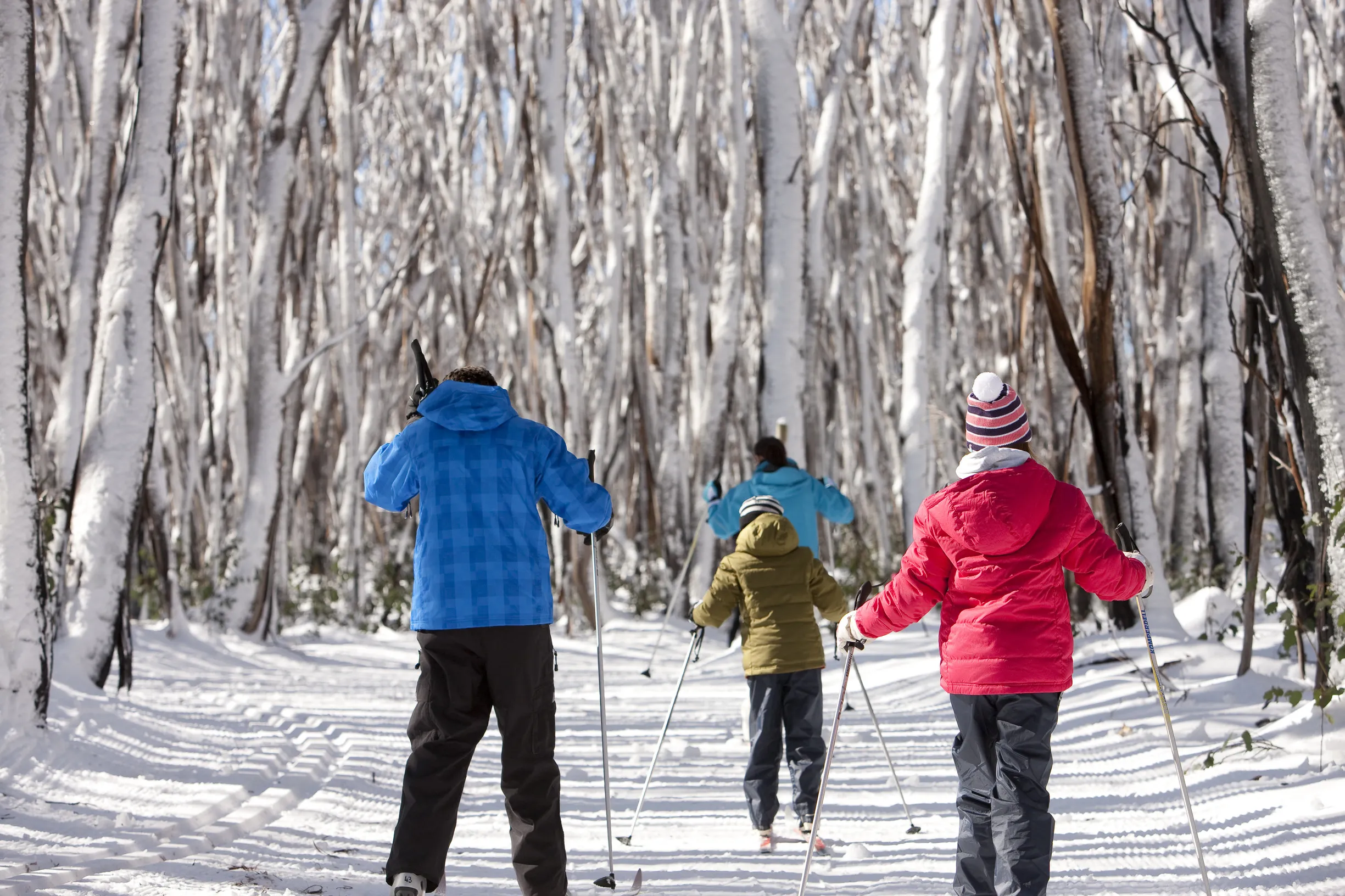 Cross-country skis