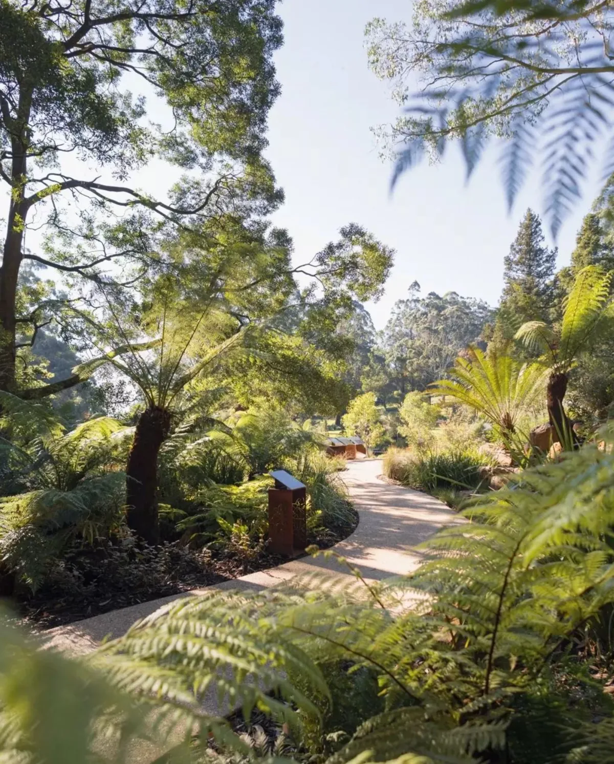 Dandenong Ranges Botanic Gardens