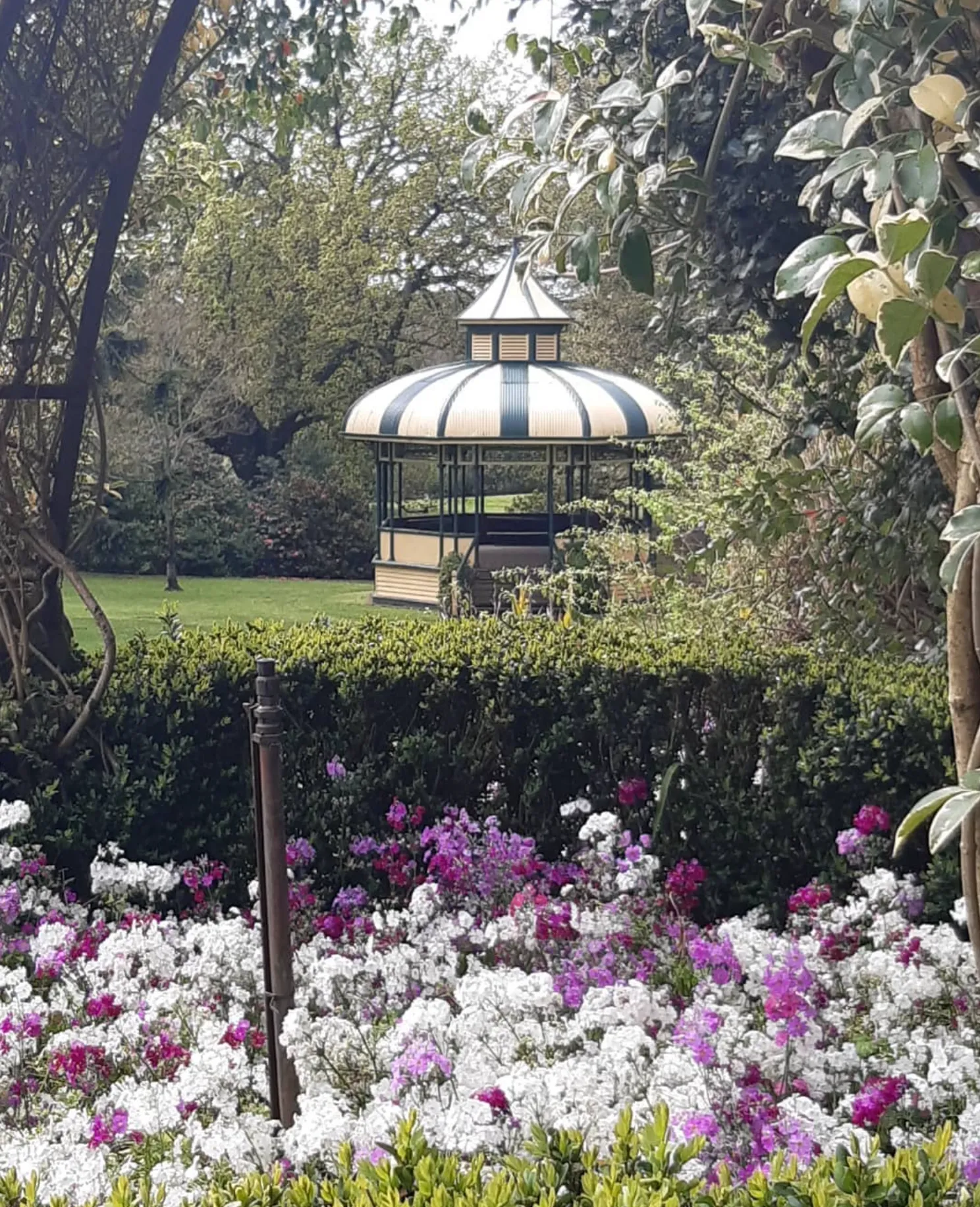 Design and Layout of the Gardens