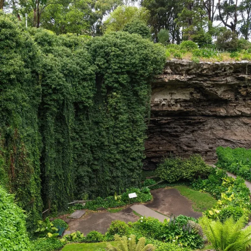 Discover Mount Gambier