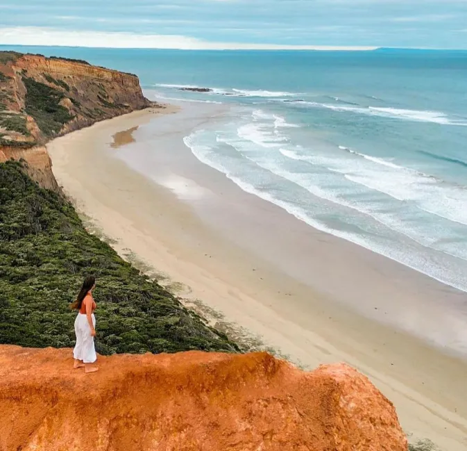 Discover the Region