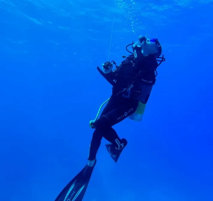 Phillip Islan Dive