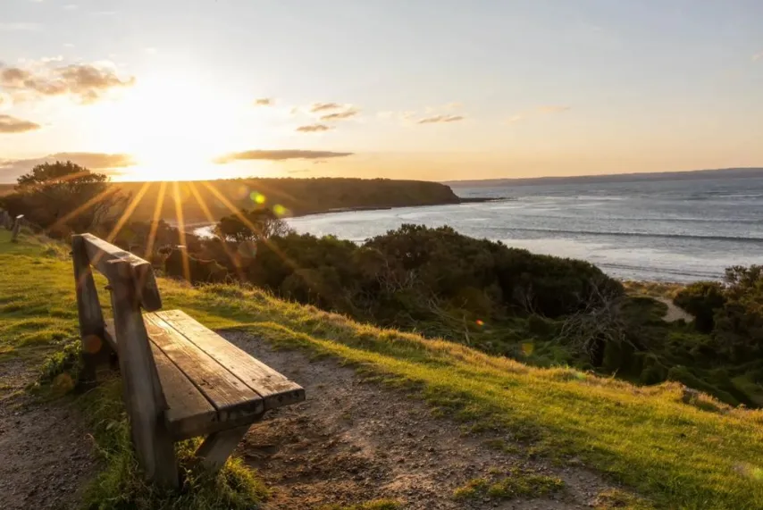 Dog-Friendly Beaches Tips
