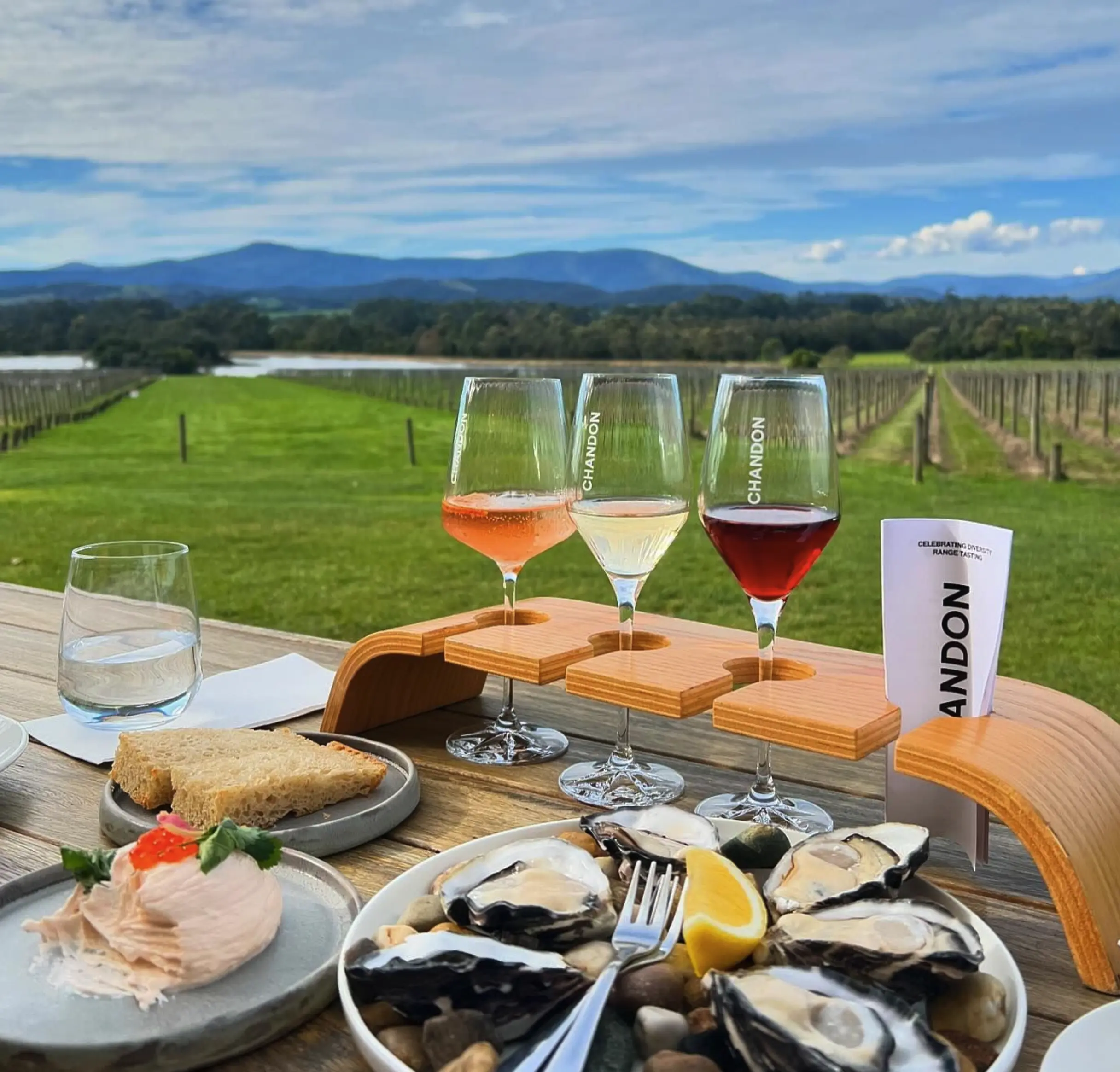 Domaine Chandon History​