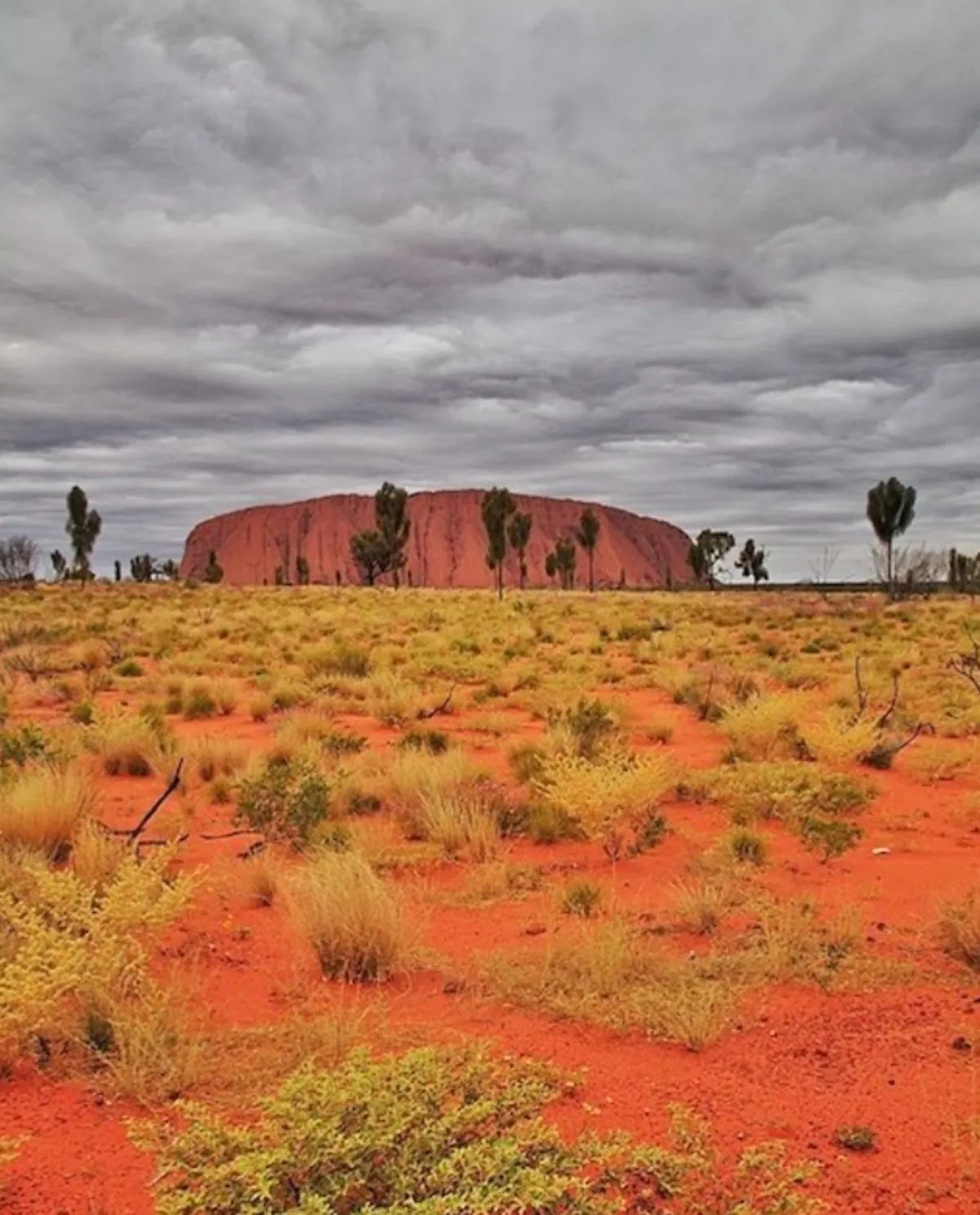 Dry Season versus Wet Season