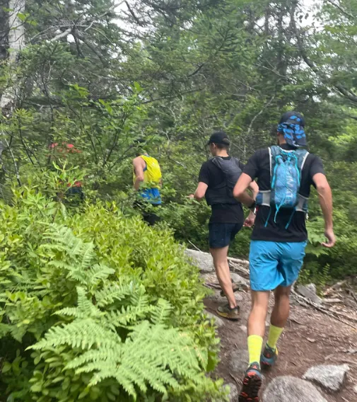 Embark on a Hike to The Bluff