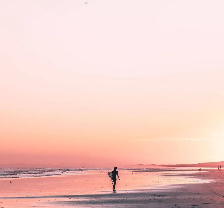 Engage in the activity of surfing