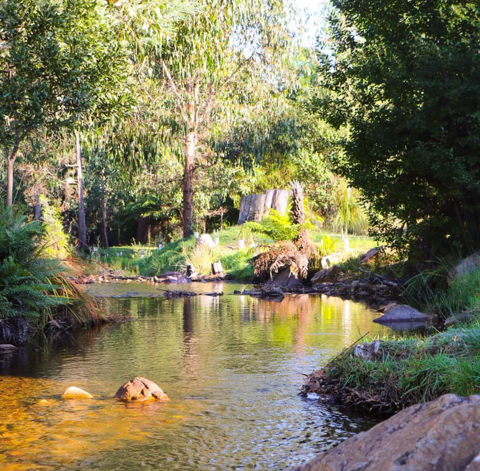 Escape to Steavenson River