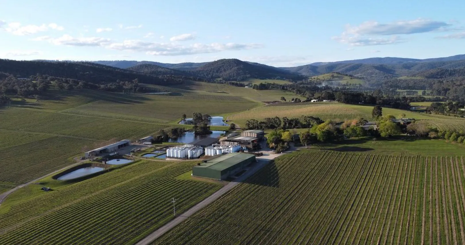 Estate's Single Vineyard