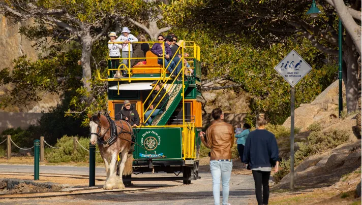 Experience the Horse Drawn Tram
