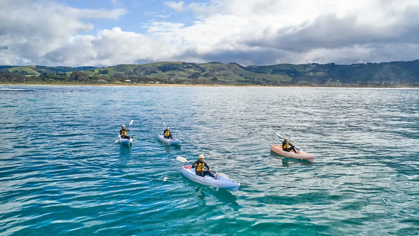 Explore the ocean with Apollo Bay Surf & Kayak