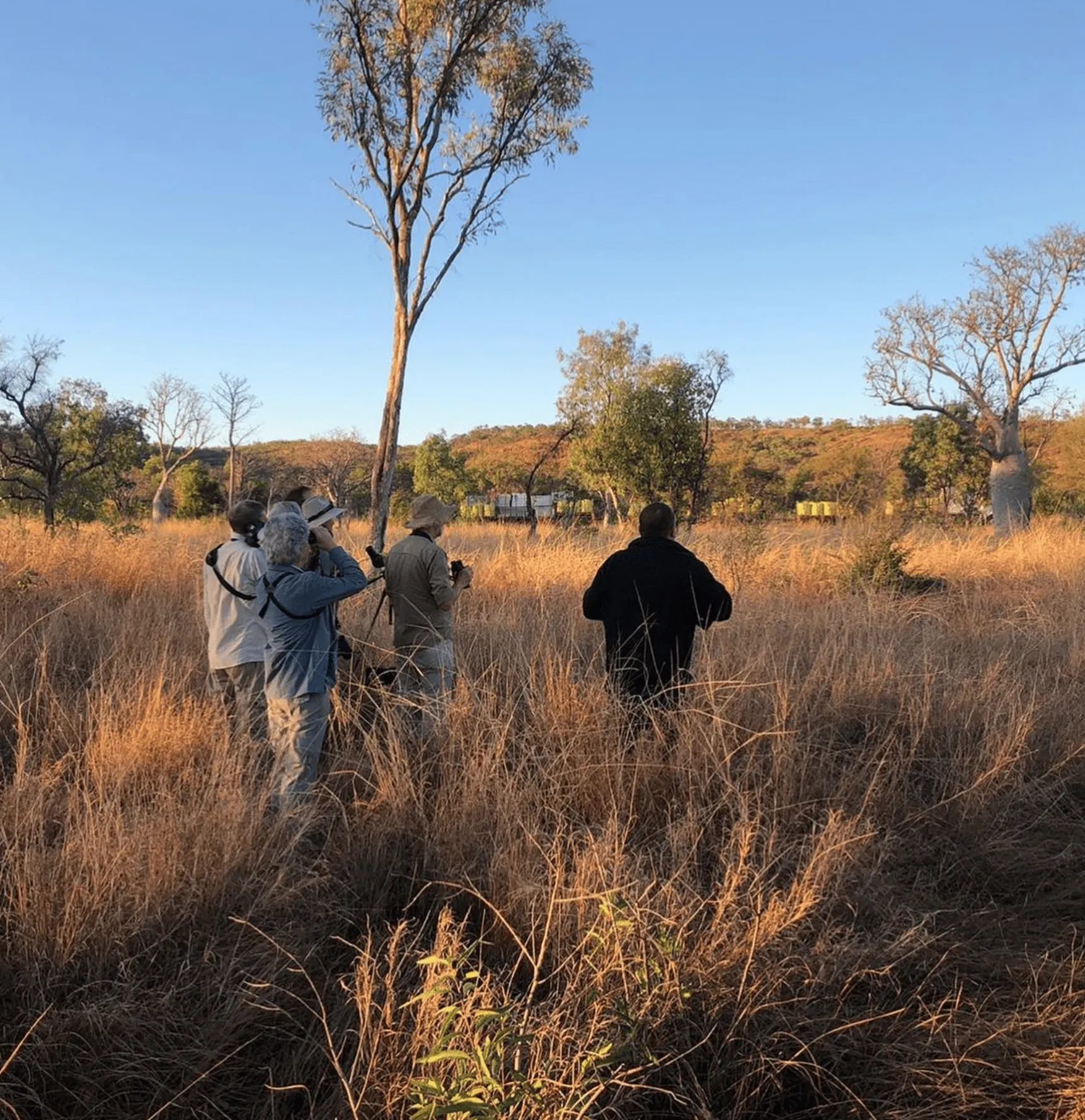 Exploring Bird Week Tours