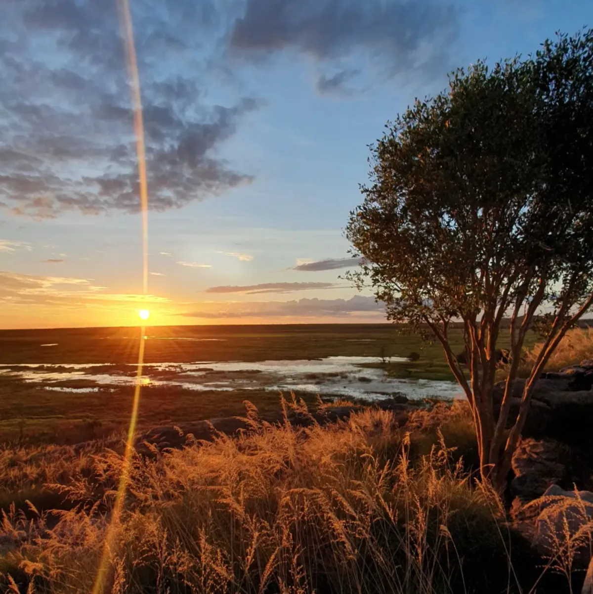 Exploring Jabiru