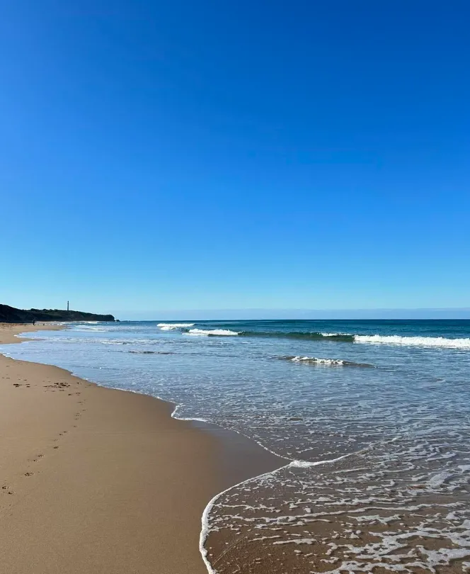 Fairhaven’s Coast