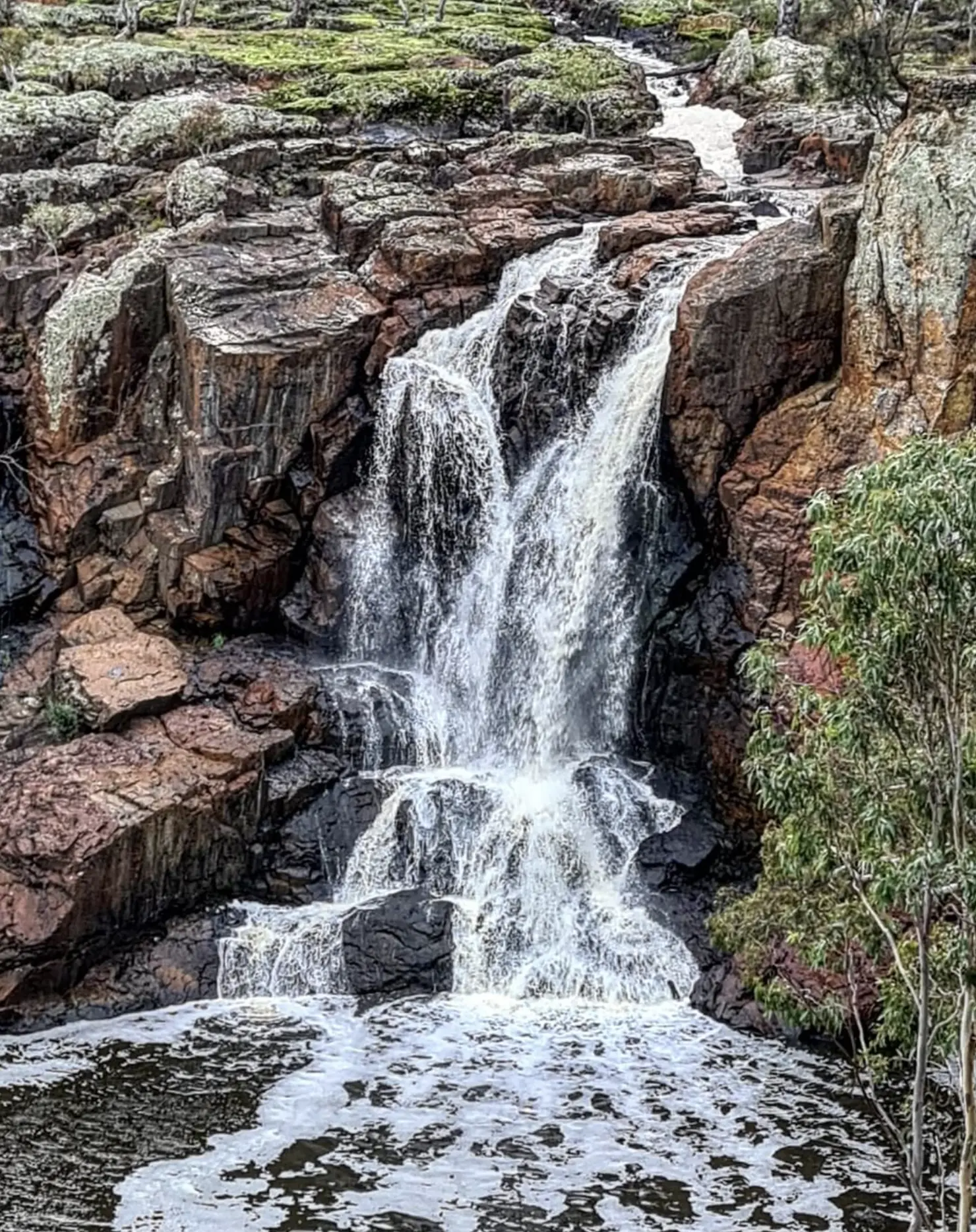Falls and Surrounds