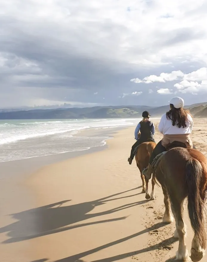 Family Horseback Riding Adventures