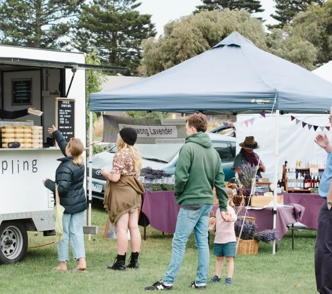 Festivals & Events
