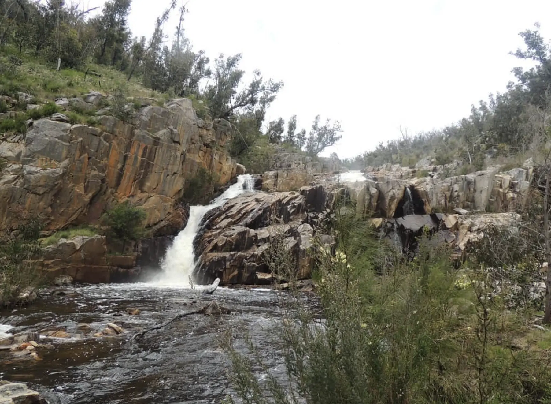 Fish Falls