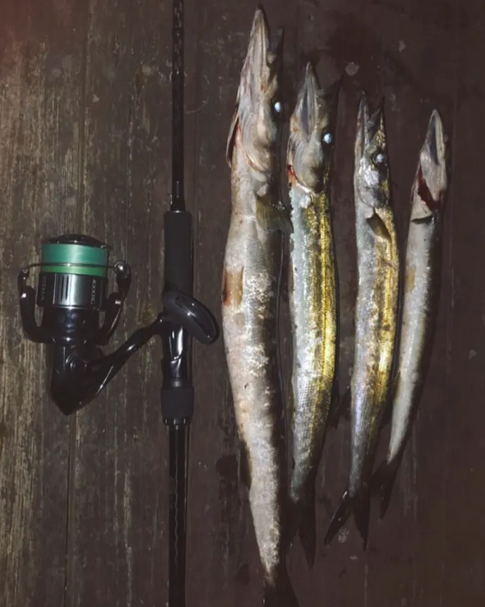 Fishing San Remo Jetty