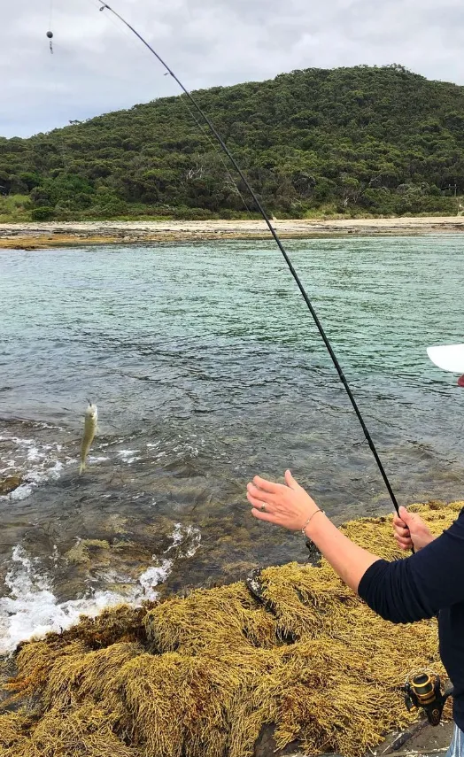 Fishing and Beach Activities