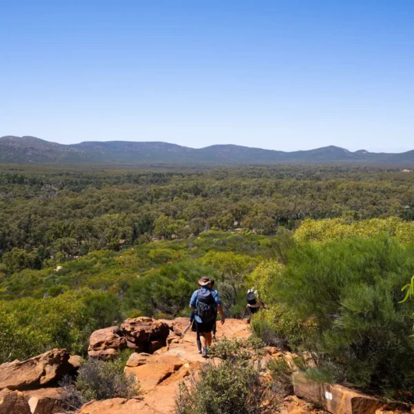 Adelaide to Uluru Tour