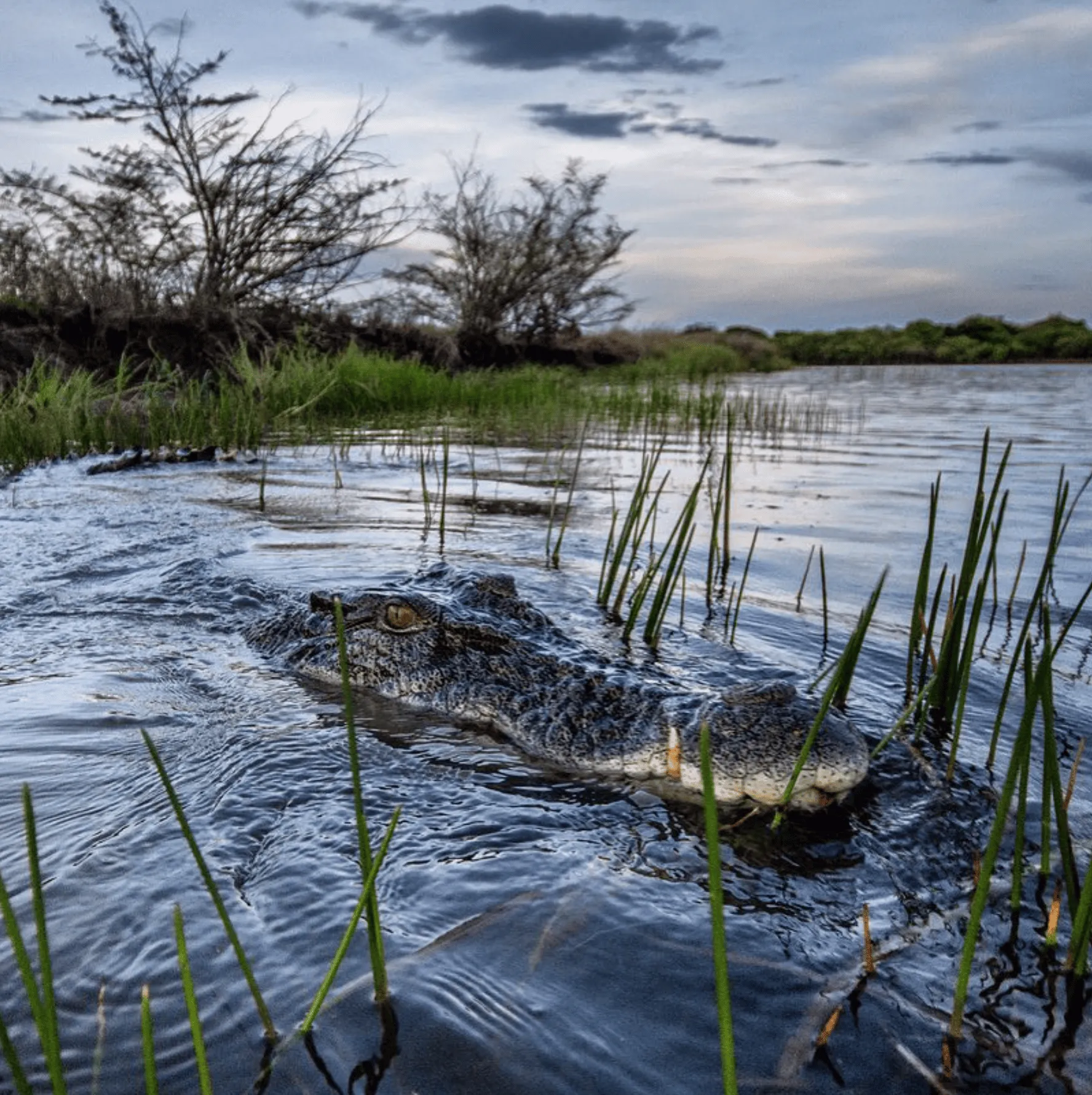 For walks, wildlife and views