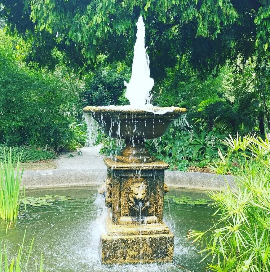 Fountain and Pond