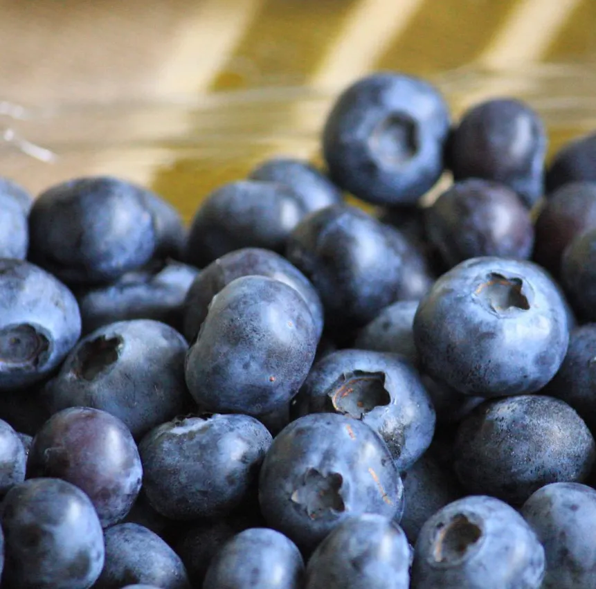 Fresh Fruits and Vegetables