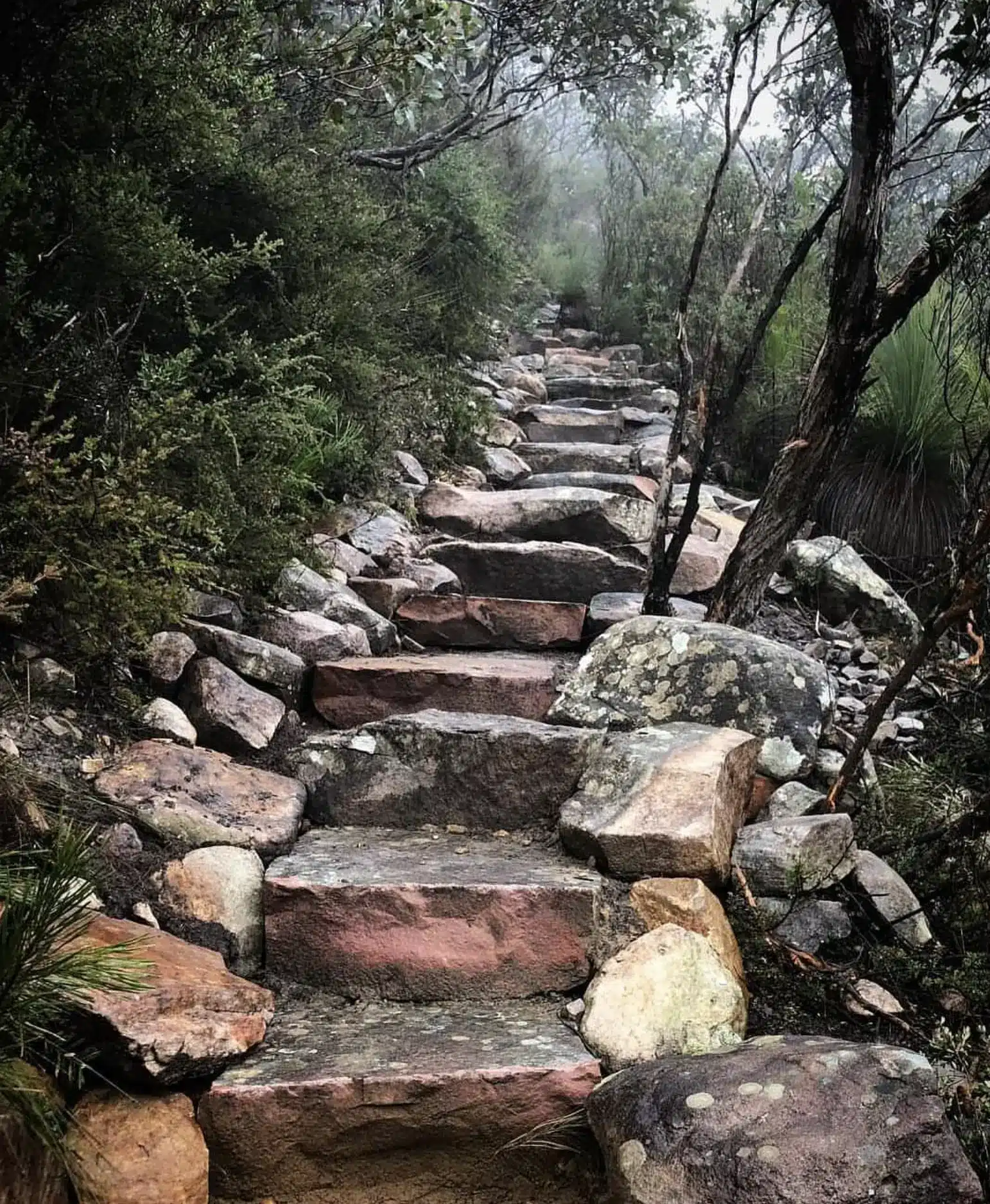 Full Grampians Peaks Trail (North to South)