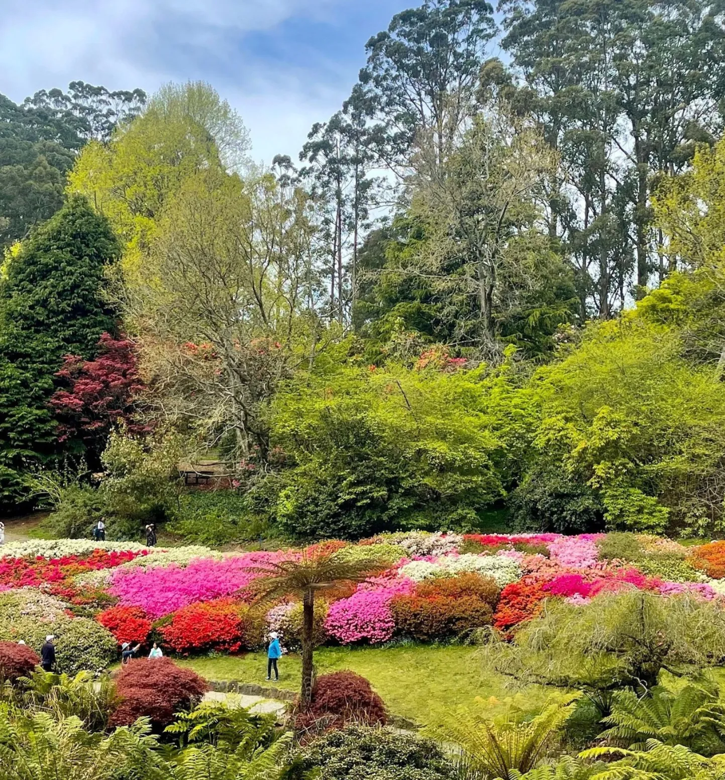 Garden Hill