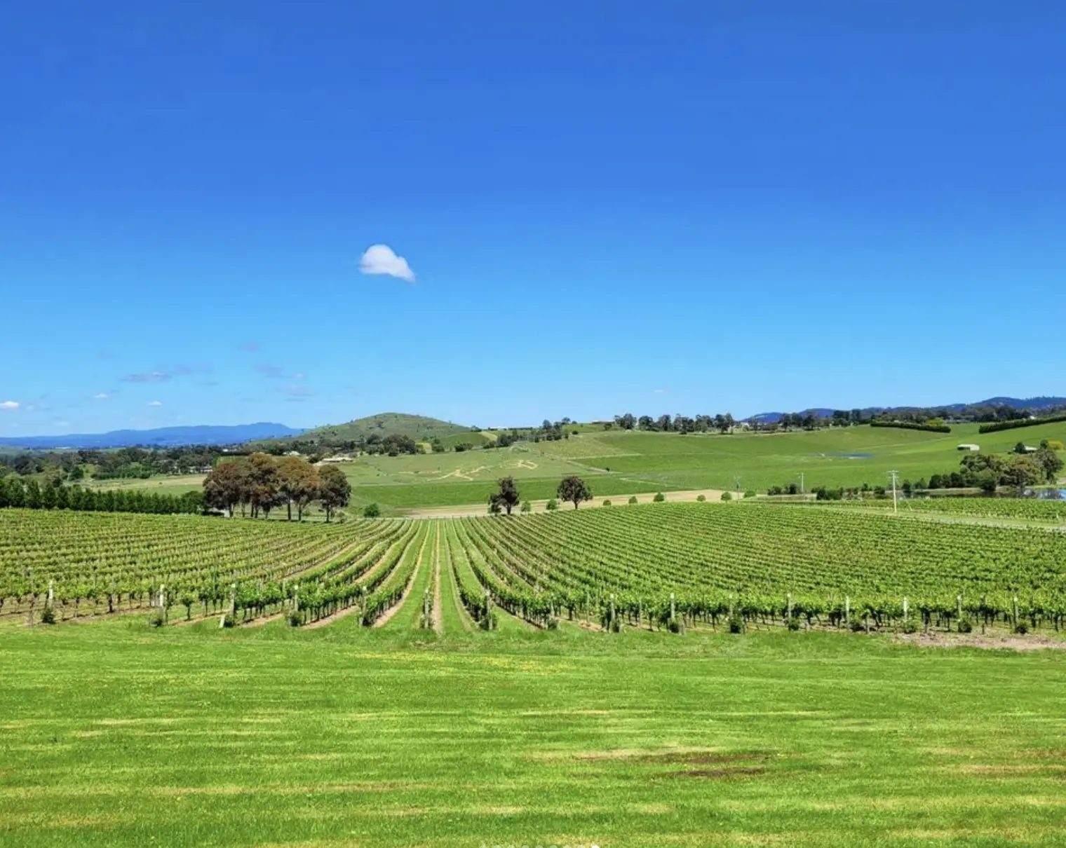 Gateway Estate winery