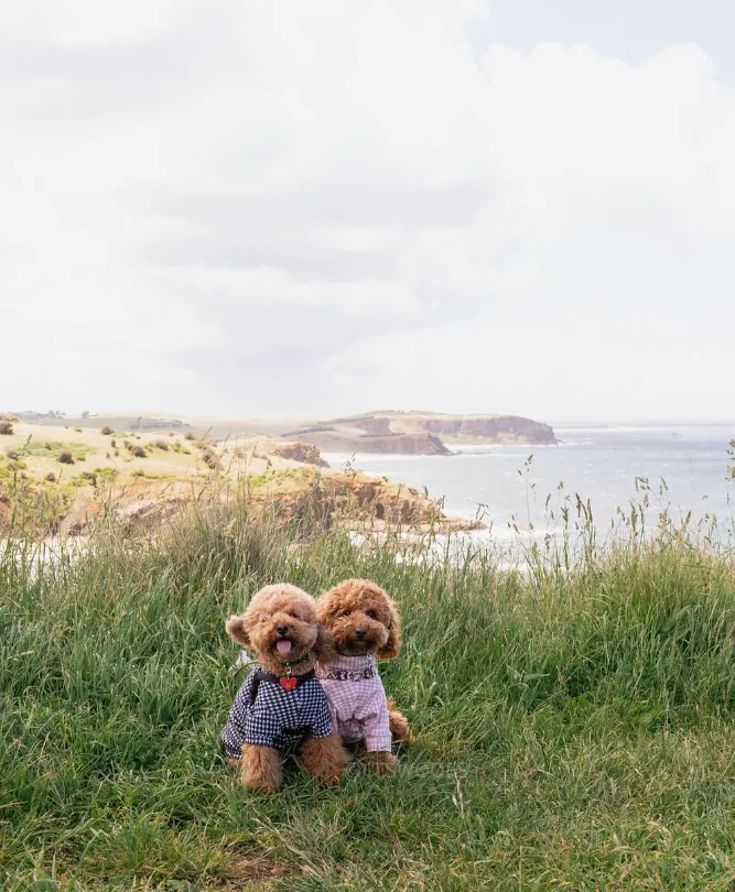 George Bass Coastal Walk