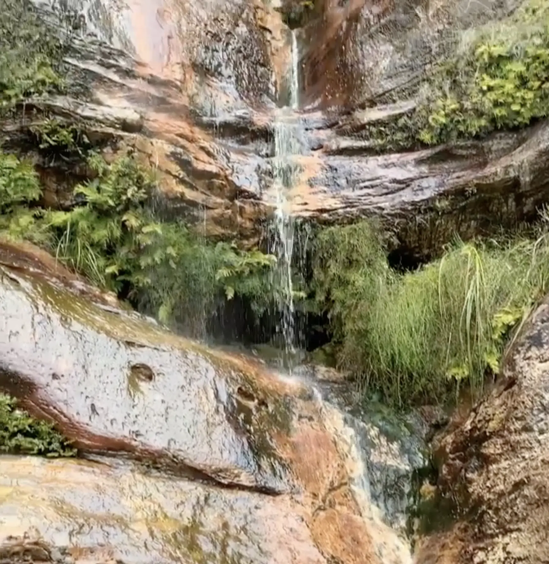Getting to Falls Walk