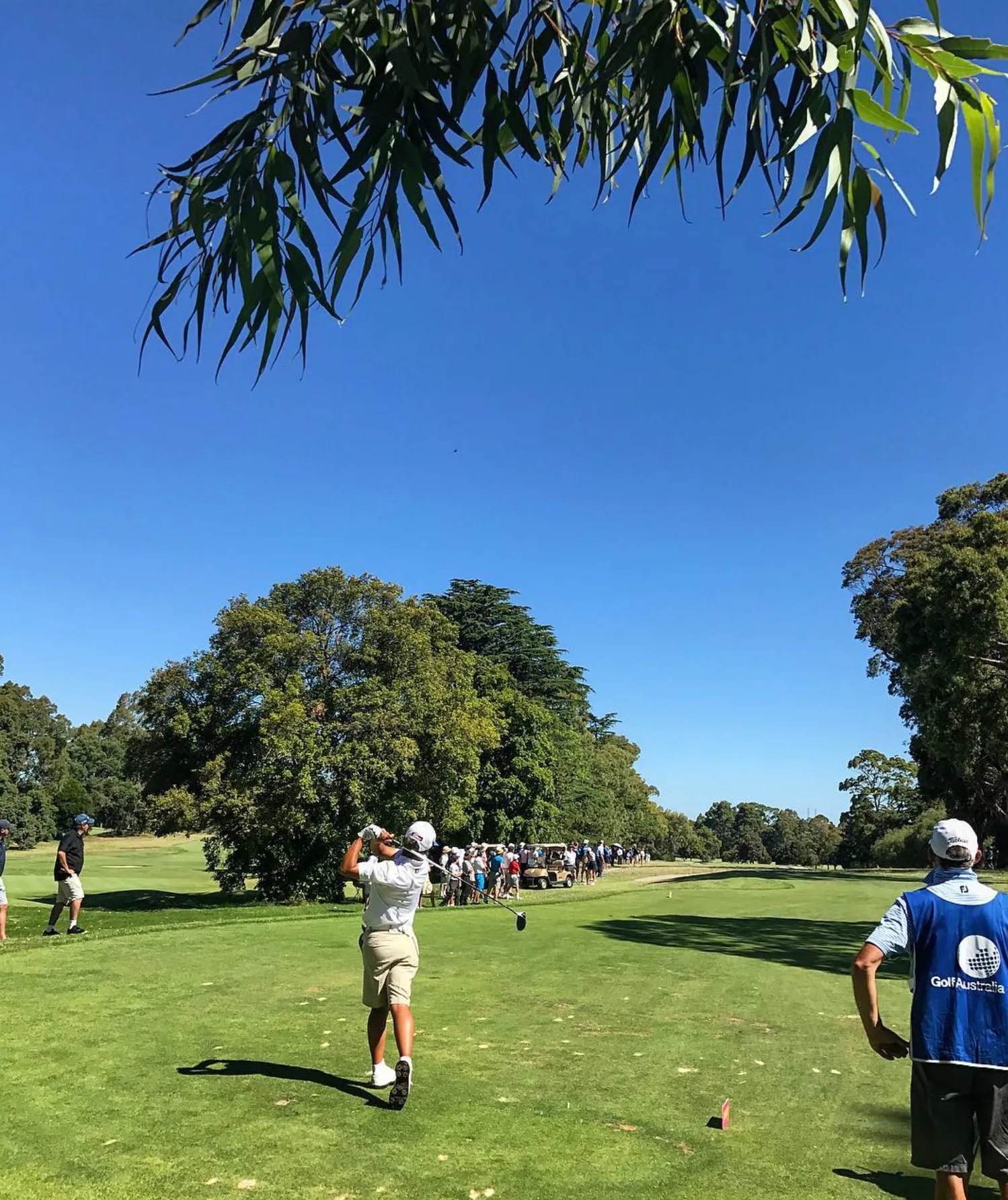 Golf Events and Tournaments