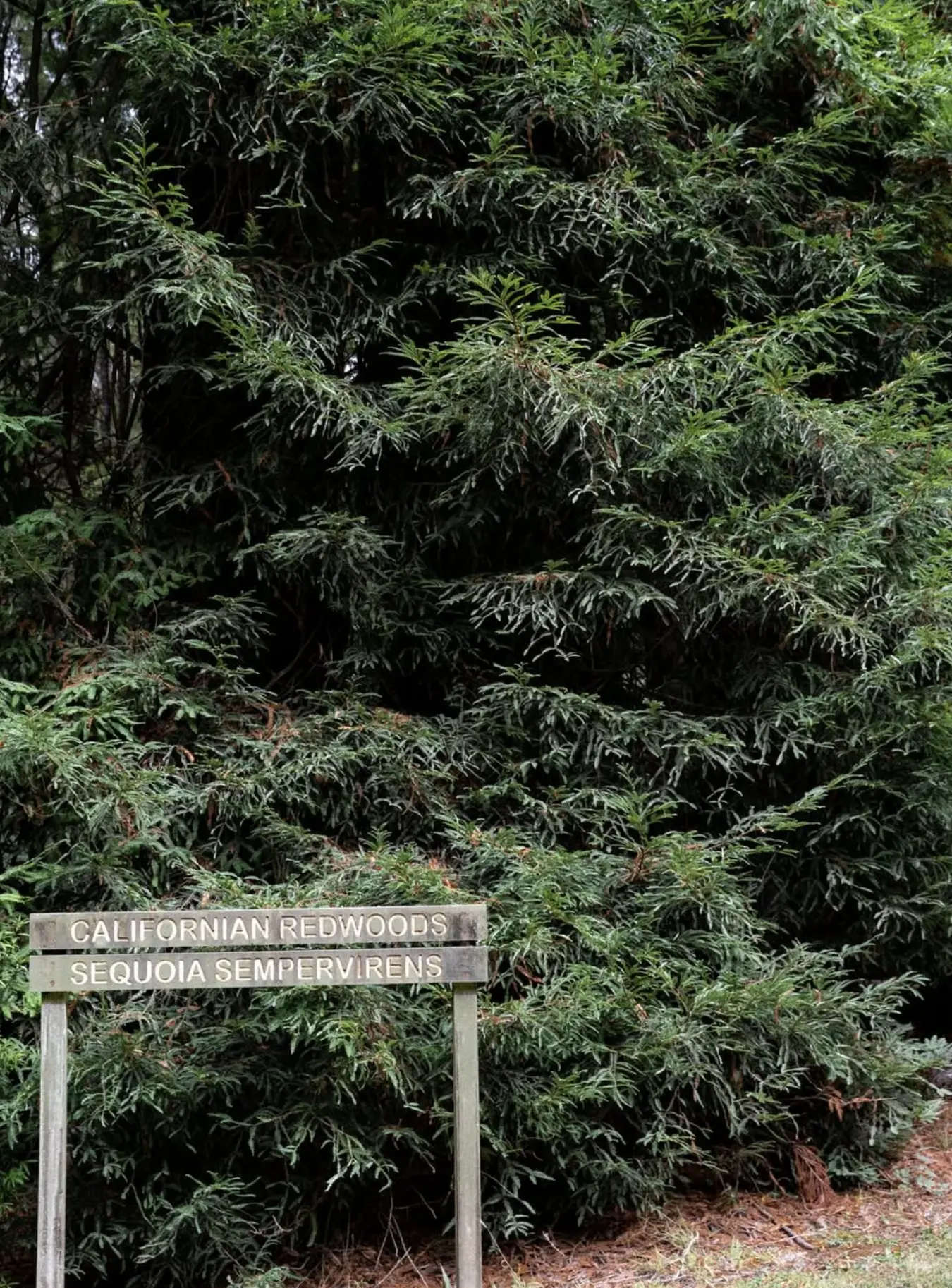 Grampians Gardens