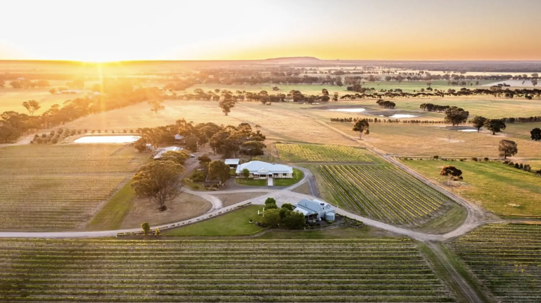 Grampians Wine Region