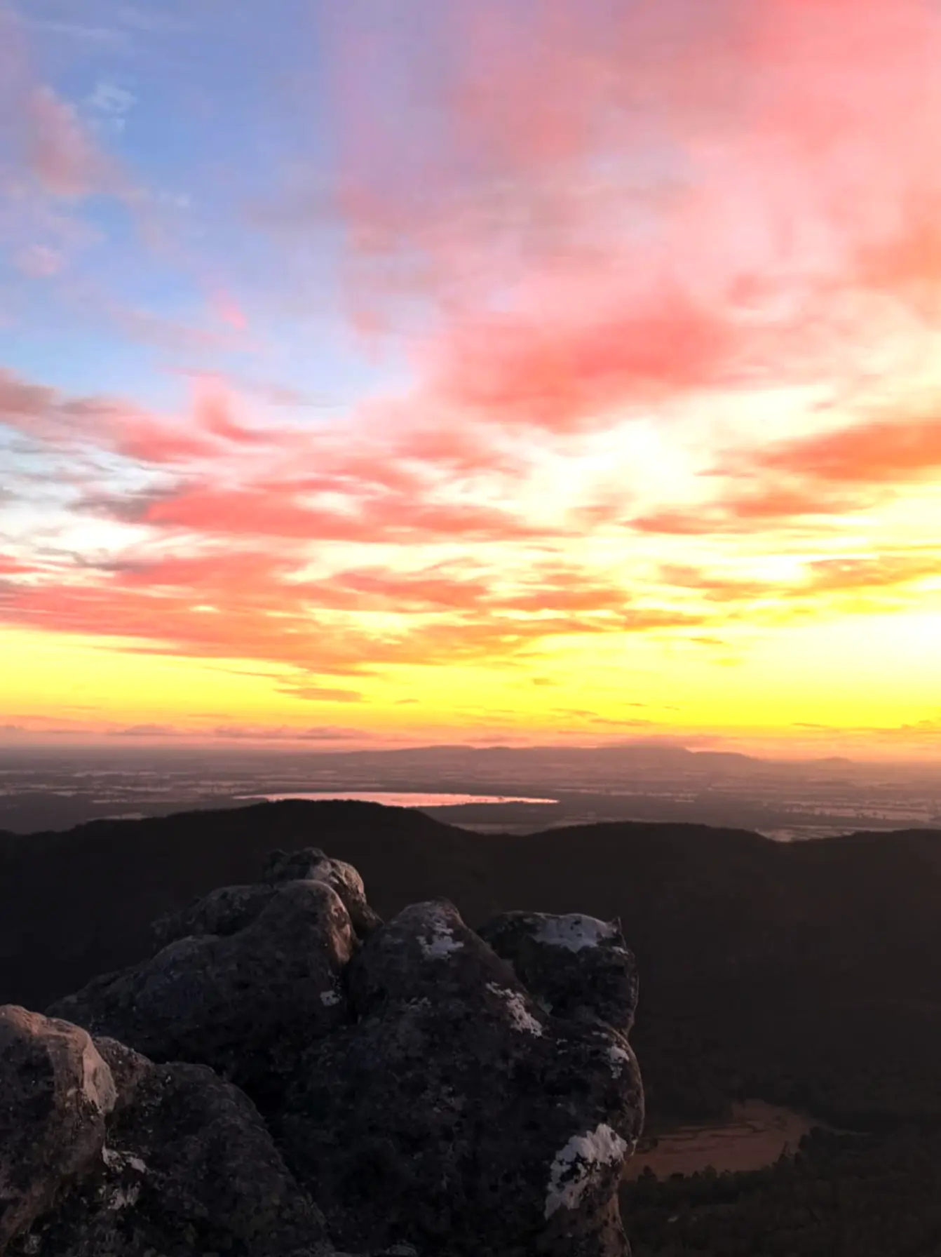 Grampians wildlife and flora