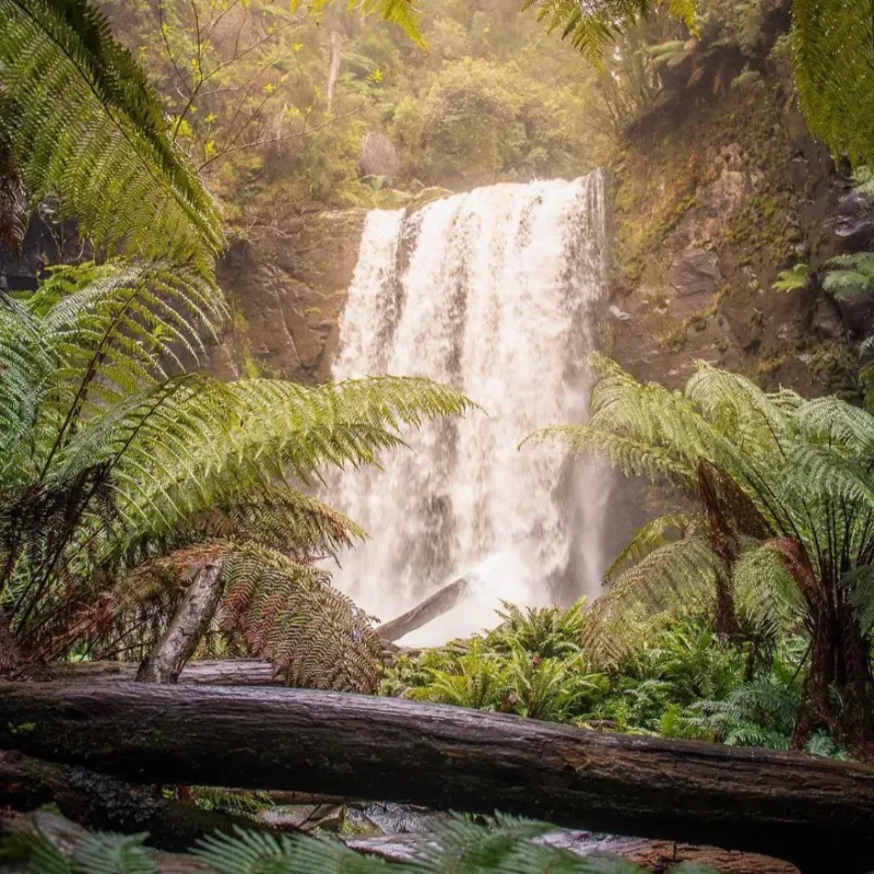 Great Ocean Road Waterfall