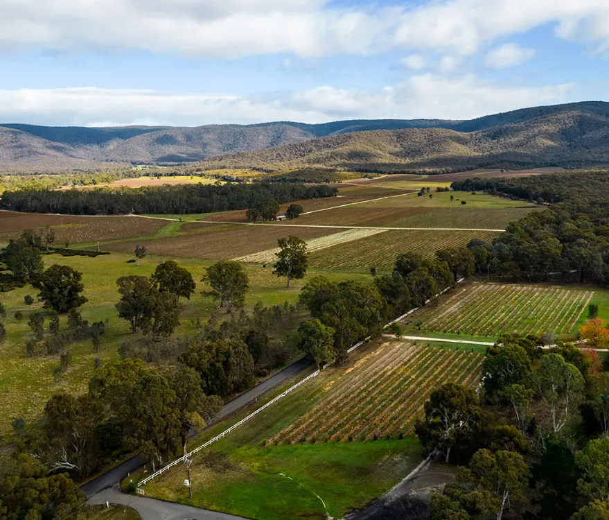 Great Ocean Road & its Art of Winemaking