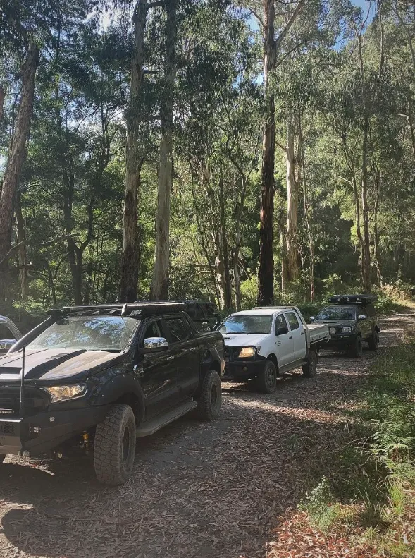 Guided 4WD Sightsee