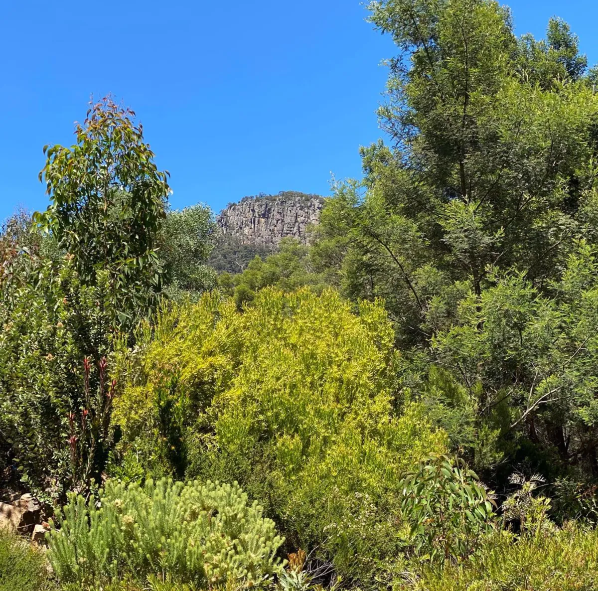 Halls Gap Valley