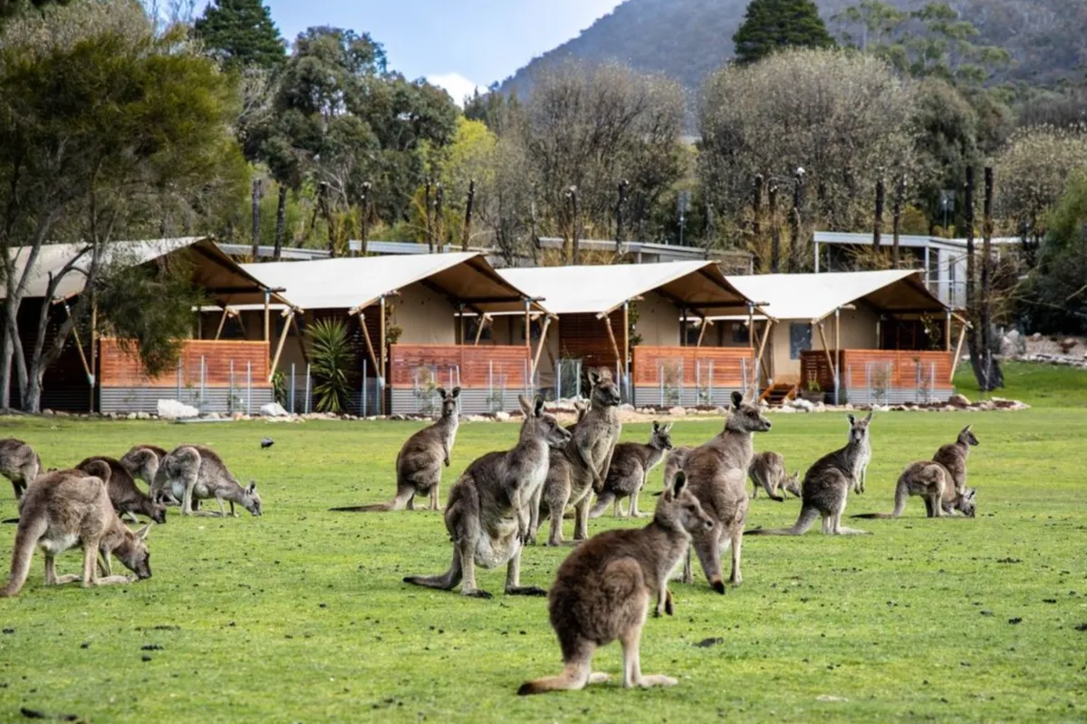 Halls Gap