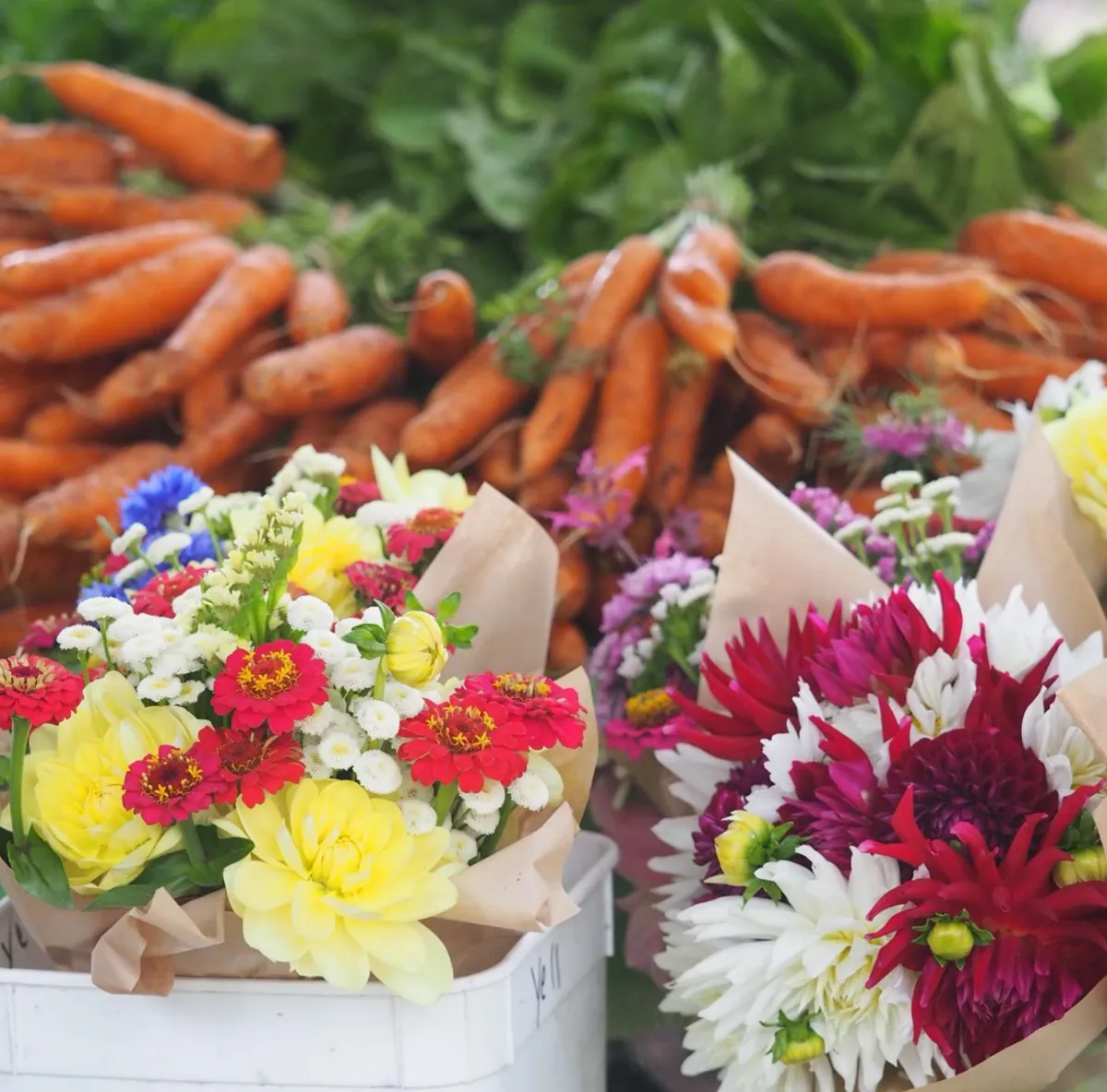 Healesville Organic Farmers Market