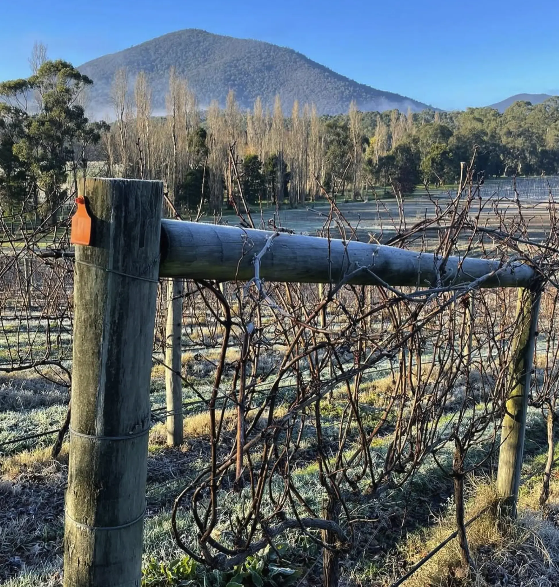 Healesville Victoria