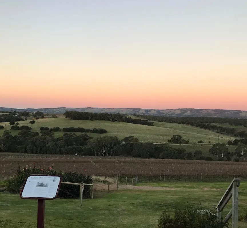 Henty Wine Region