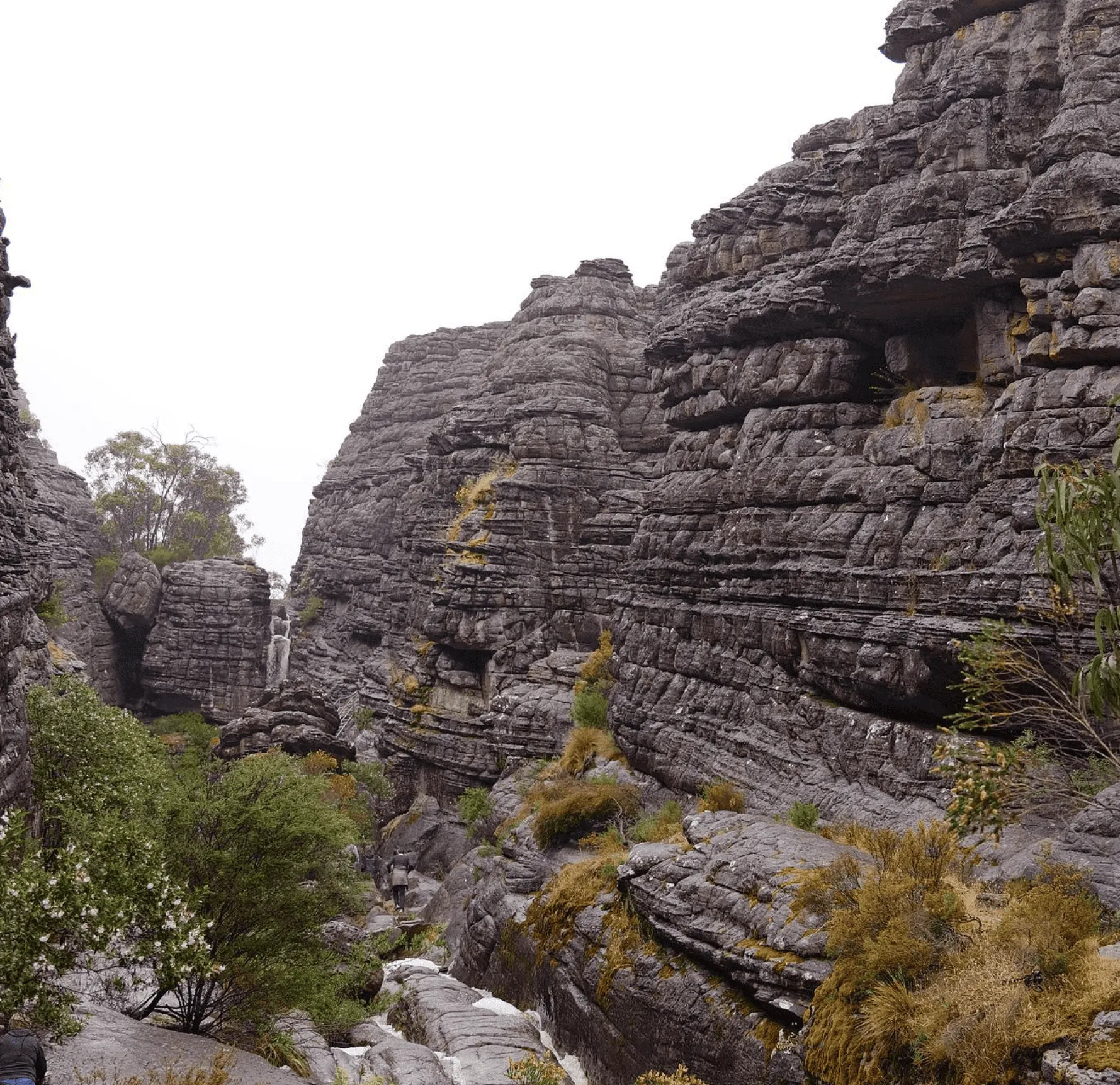 Hiking Tips