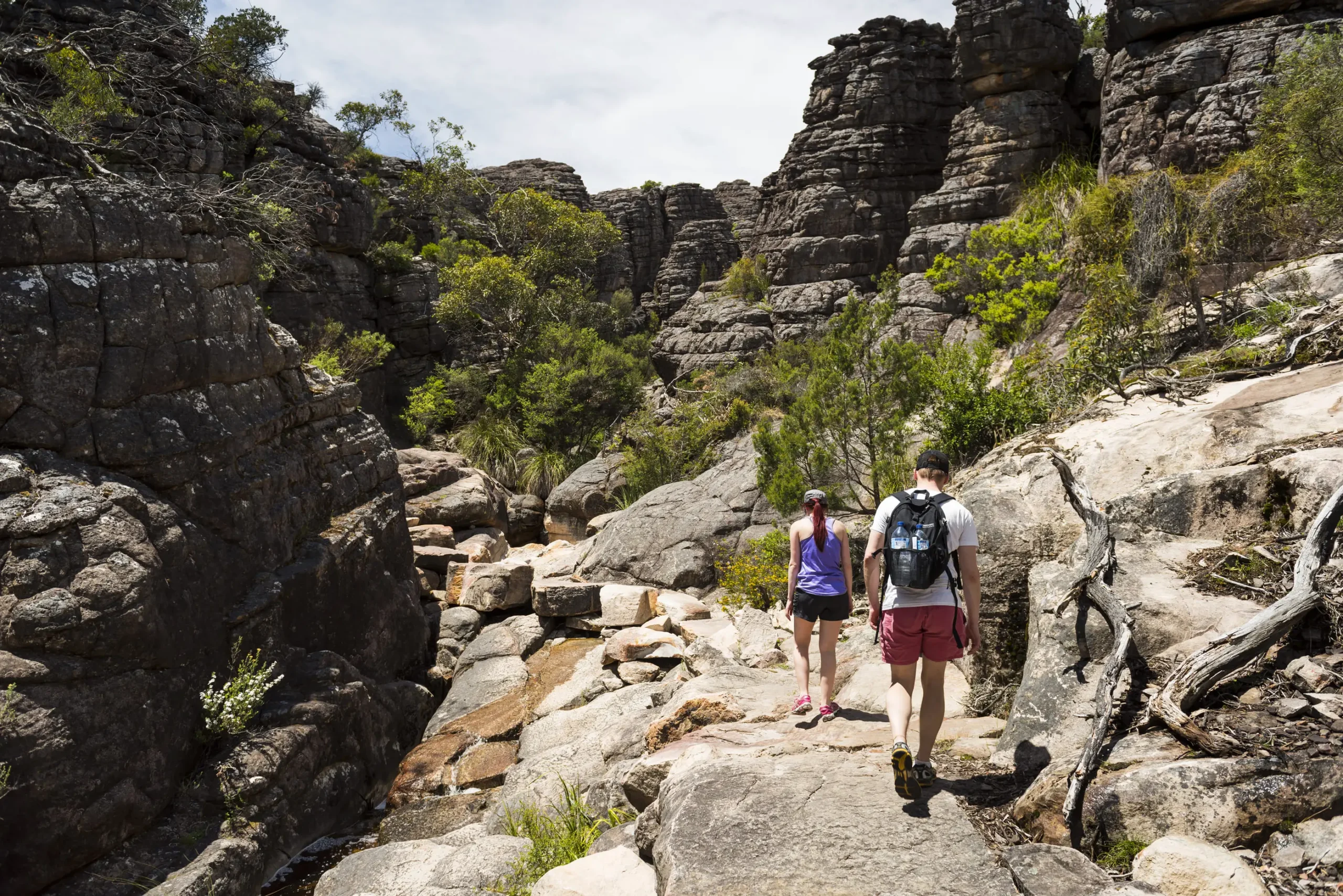 Hiking Trails