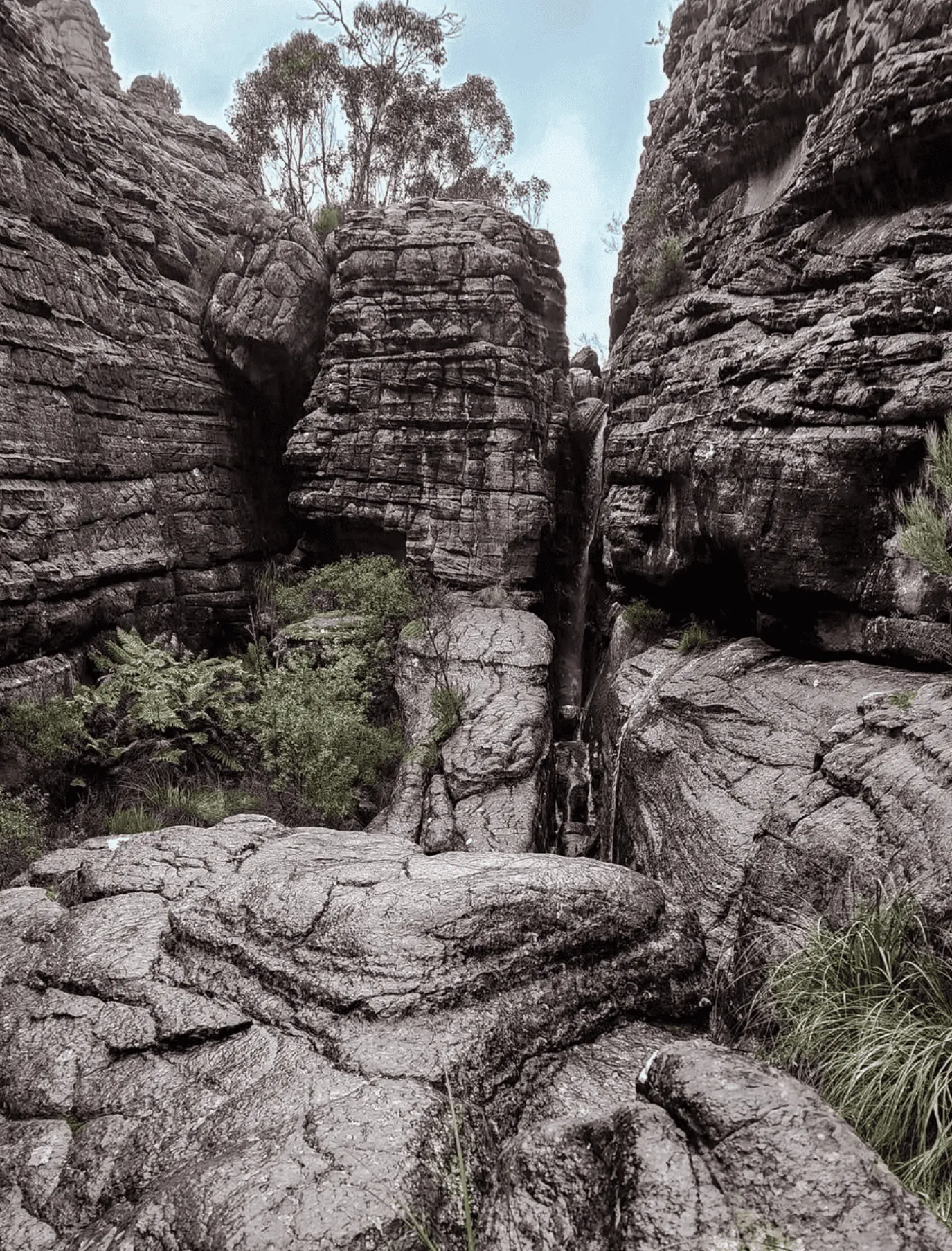 Historical Context and Formation