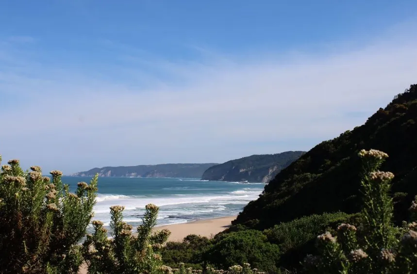 History Johanna Beach